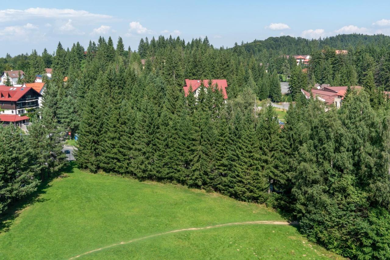 Apartament Executive Vedere Munte Alpin Resort Poiana Brașov Exterior foto